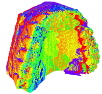 modello 3d denti